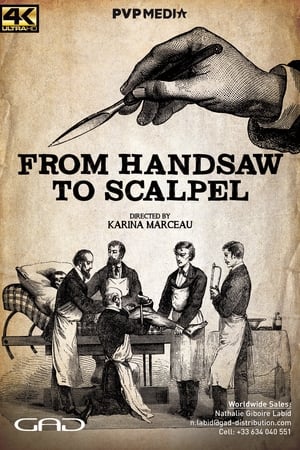Image From Handsaw to Scalpel