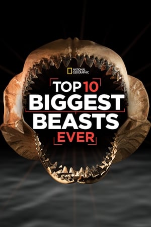Image Las diez bestias más grandes del mundo