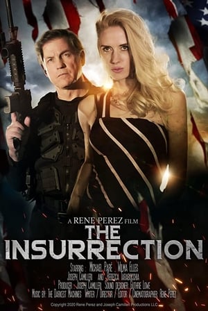 Poster The Insurrection 2020