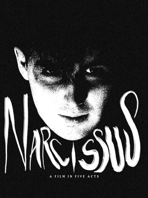 Poster Narcissus 2021