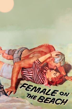 Poster Female on the Beach 1955