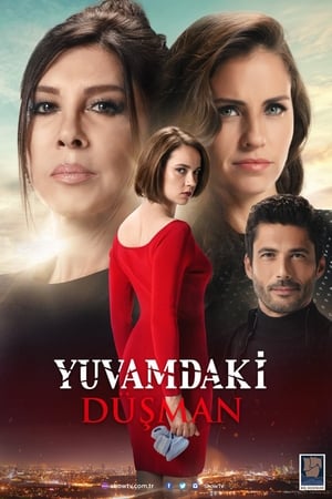 Poster Yuvamdaki Düşman Season 1 Episode 3 2018