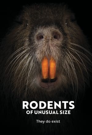 Poster Rodents of Unusual Size 2017