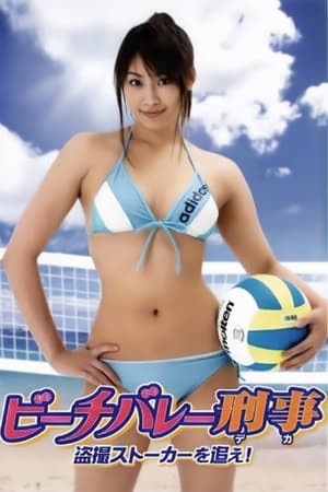Poster Beach Volleyball Detectives Part 1 2007