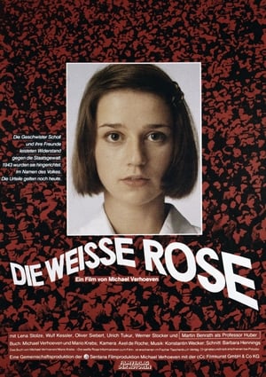 Poster Die weiße Rose 1982