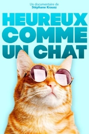 Poster Heureux comme un chat 2020