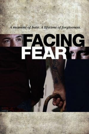 Poster Facing Fear 2013
