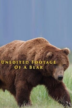 Poster Unedited Footage of a Bear 2014
