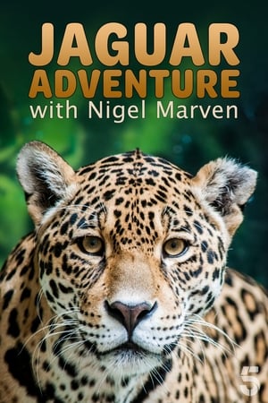 Poster Jaguar Adventure With Nigel Marven 2008