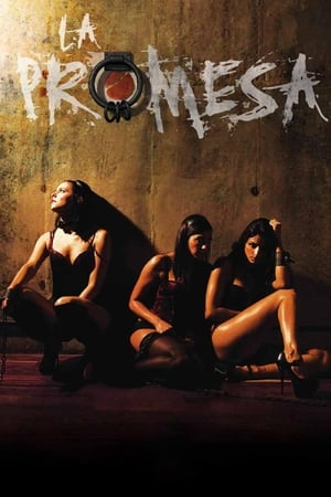 Poster La Promesa 2013
