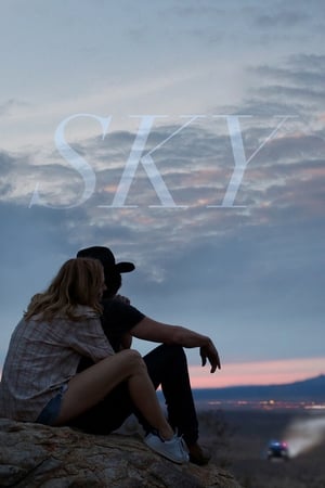 Poster Sky 2015