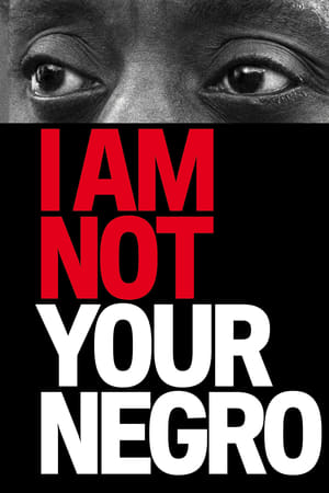 Poster I Am Not Your Negro 2017