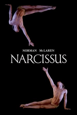 Poster Narcissus 1983