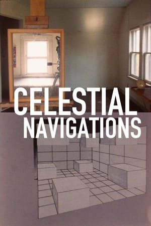 Image Celestial Navigation