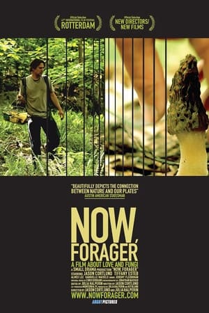 Poster Now, Forager 2012