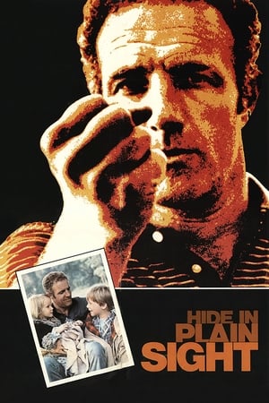 Poster Hide in Plain Sight 1980