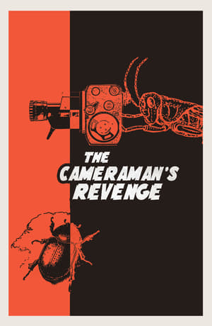 Image The Cameraman's Revenge