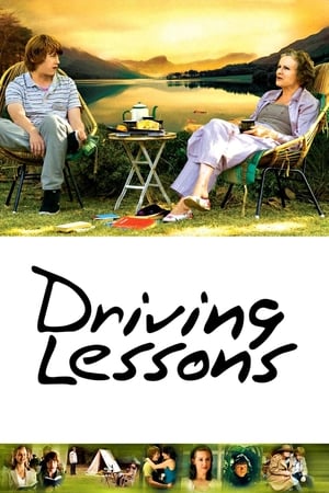 Poster Driving Lessons 2006