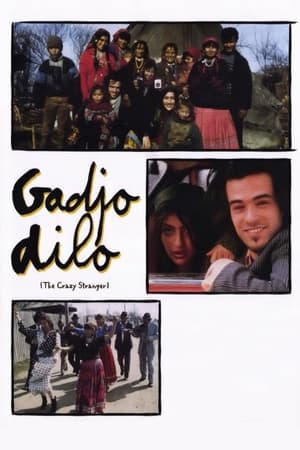 Image Gadjo dilo - främlingen