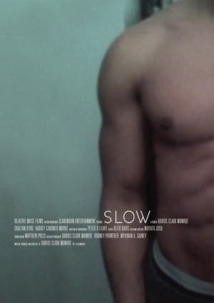Poster Slow 2011