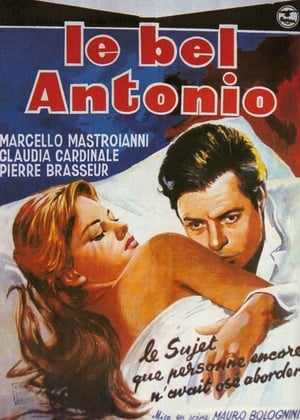 Poster Le Bel Antonio 1960