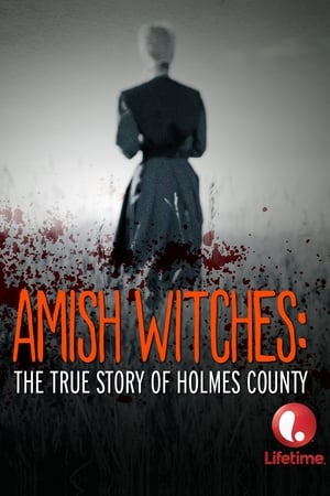 Poster Amish Witches: The True Story of Holmes County 2016