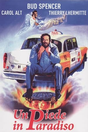 Poster Un piede in paradiso 1991