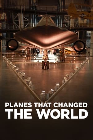 Poster 改变世界的飞机 2015