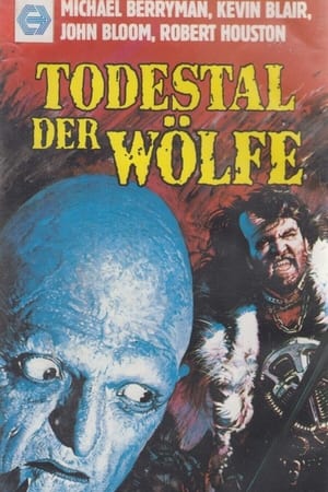 Poster Im Todestal der Wölfe 1985