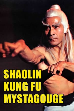 Image Shaolin Kung-Fu Mystagogue