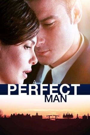 Poster A Perfect Man 2013