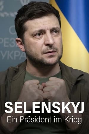 Poster Zelenski - Un președinte în război 2022