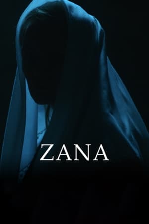 Poster Зана 2019