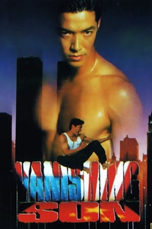 Poster Vanishing Son 1994