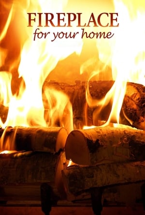 Poster Fireplace 4K: Crackling Birchwood from Fireplace for Your Home 2015