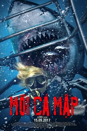 Poster Mồi Cá Mập 2017