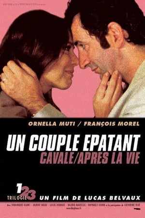 Poster Un couple épatant 2002