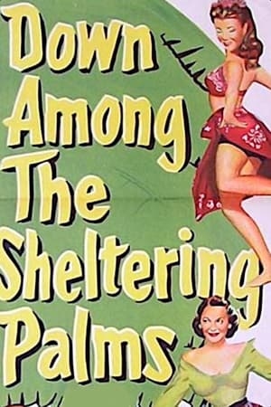 Poster Down Among the Sheltering Palms 1953