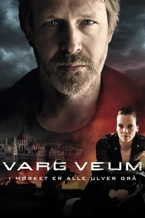 Poster Varg Veum-黑暗中所有的狼都是灰色的 2011