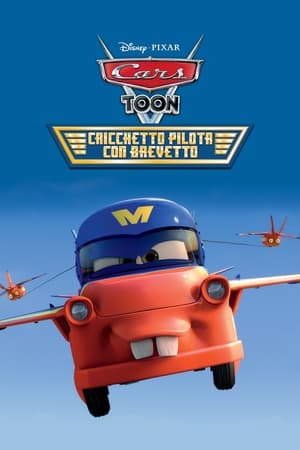 Poster Cricchetto pilota con brevetto 2011