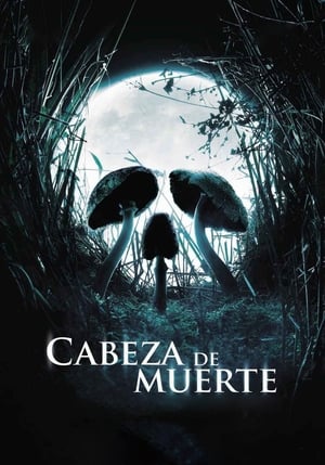 Poster Cabeza de muerte (Fungus Mortalitas) 2007