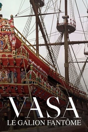 Image Vasa, le galion fantôme