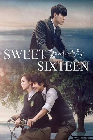 Poster Sweet Sixteen 2016