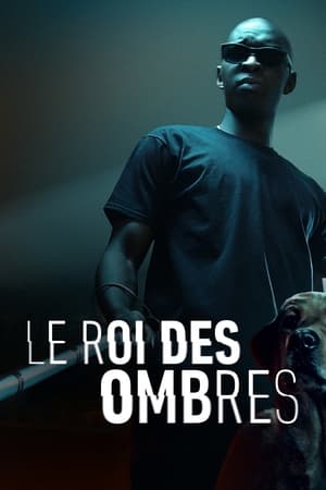 Poster Le Roi des Ombres 2023