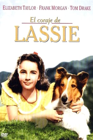 Image El coraje de Lassie