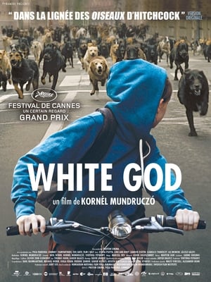 Poster White God 2014