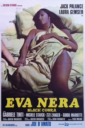 Poster Eva nera 1976
