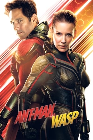 Poster Ant-Man a Wasp 2018