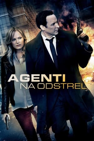 Poster Agenti na odstrel 2013