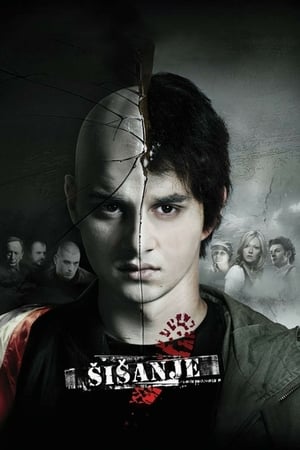 Poster Šišanje 2010